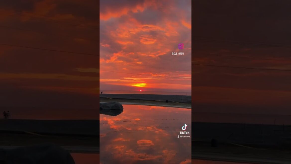 Sunshine ☀️#shorts