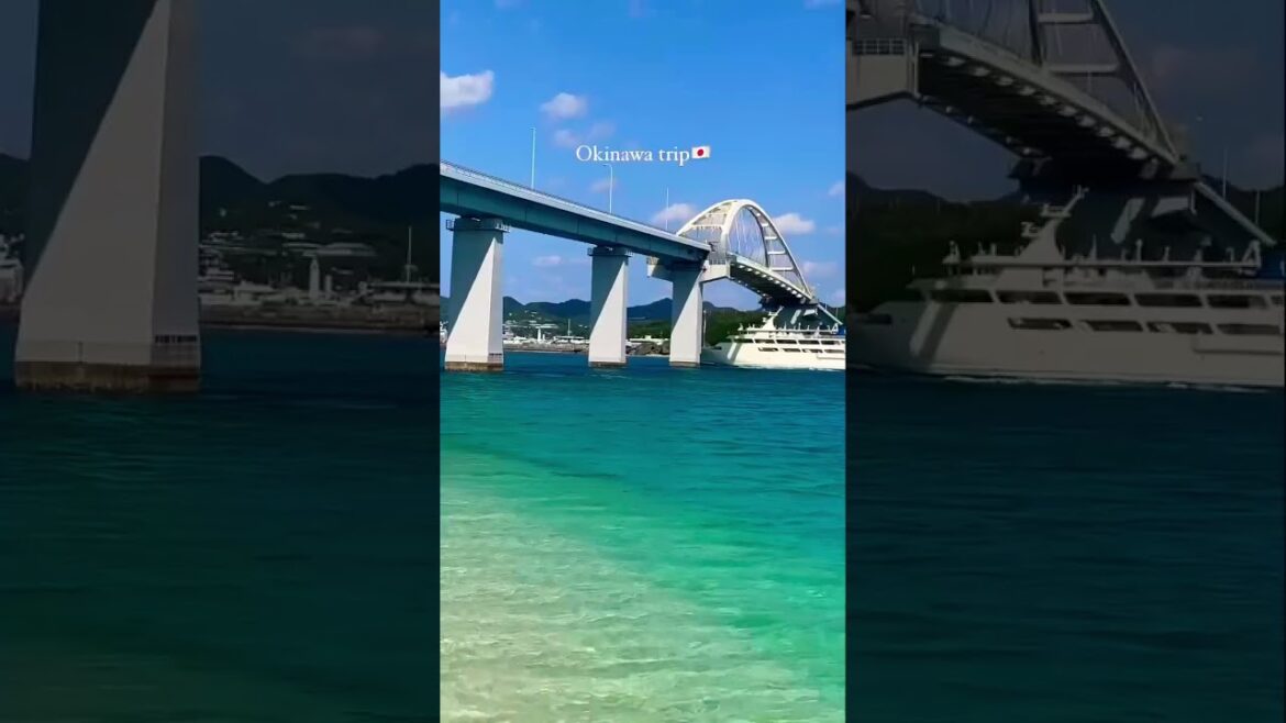 Amazing Okinawa✨　#japan #japantravel #japantrip #vlog #okinawa #okinawabeach #okinawatrip