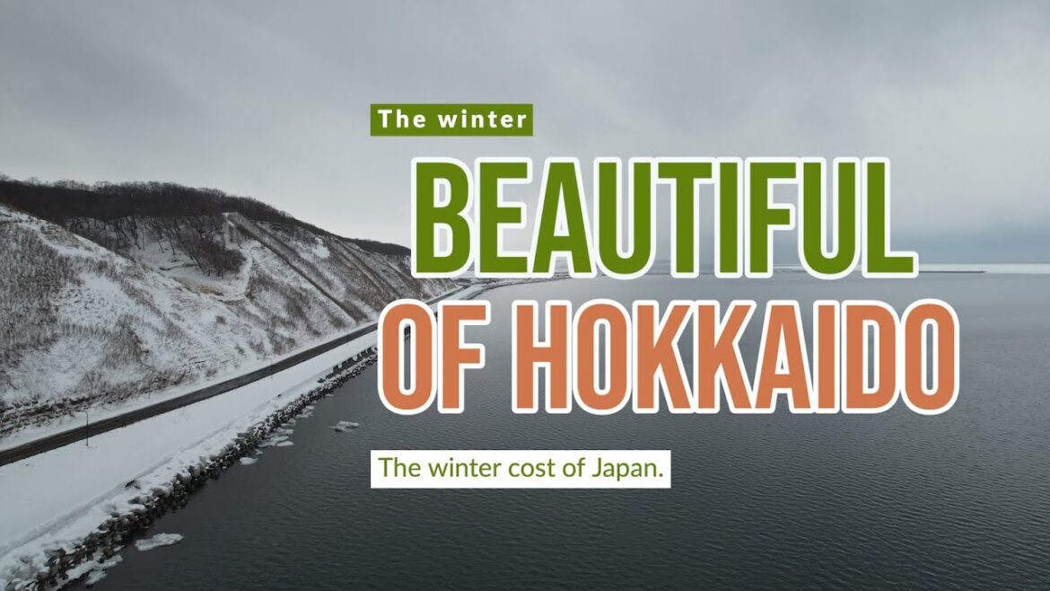 The Drone of Japan snow cost.