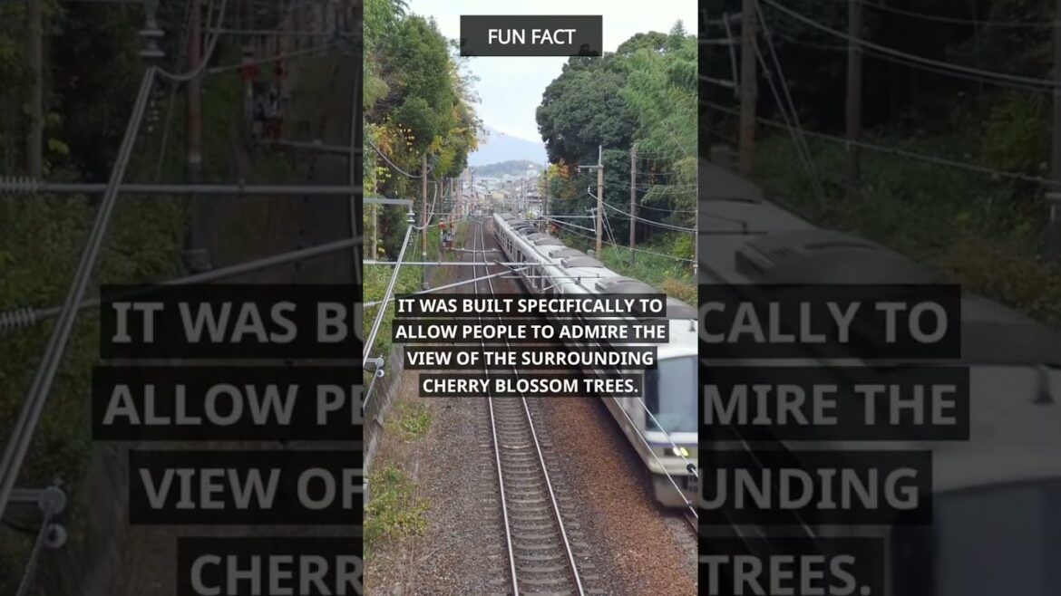 Traveling to Japan? You should check this place out! #travel #japan #shorts