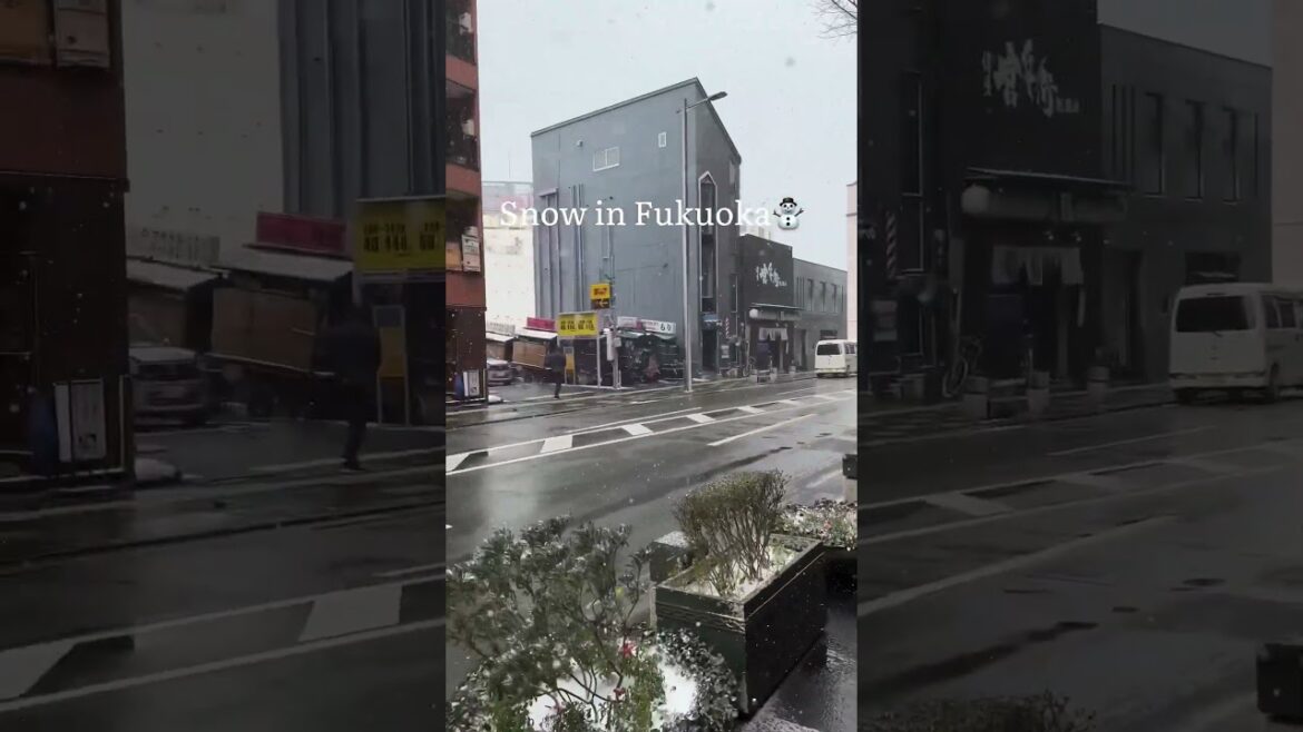 snow in fukuoka🌨️