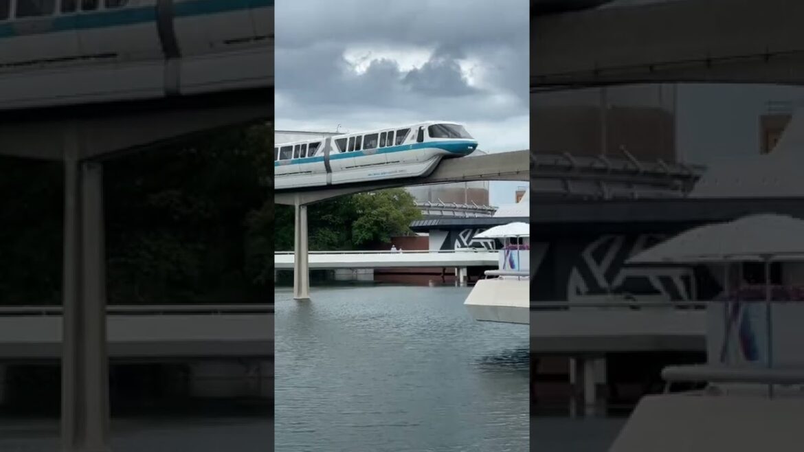 #shorts #monorail #transportation #disney #tram #travel #firstclass #cloudy
