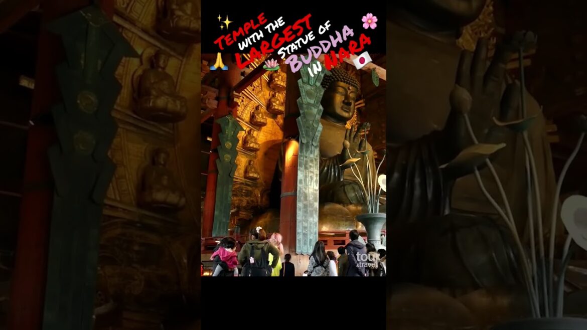 Todaiji Temple & statue of the Buddha Vairocana in Nara - Japan #shorts #japan #nara #todaiji