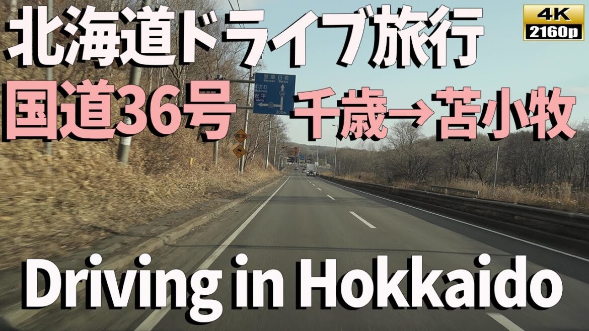 【北海道ドライブ旅行】4K映像で体験する!雪景色から春へ向かう国道36号線:千歳空港周辺から苫小牧市へ/Driving in Hokkaido 【北海道ドライブ旅行】4K映像で体験する!雪景色から春へ向かう国道36号線:千歳空港周辺から苫小牧市へ/Driving in Hokkaido