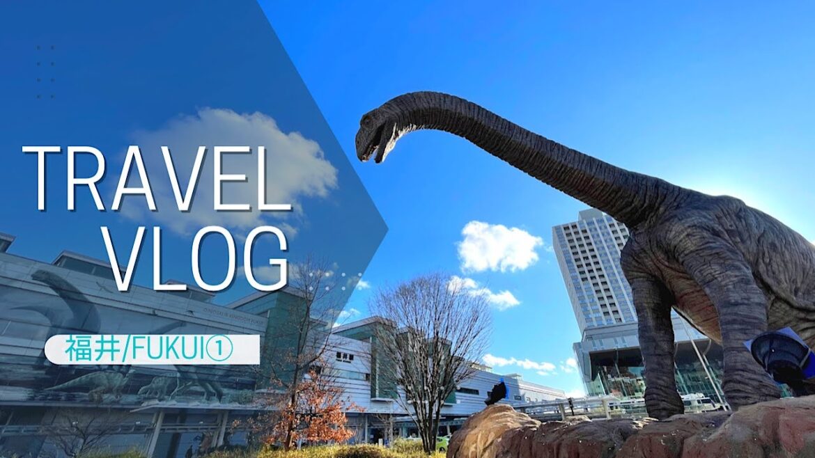 福井 【恐竜王国/Fukui】サンダーバードに乗って/弾丸日帰り/一日で巡る福井旅/女子旅/ひとり旅/北陸/Japan