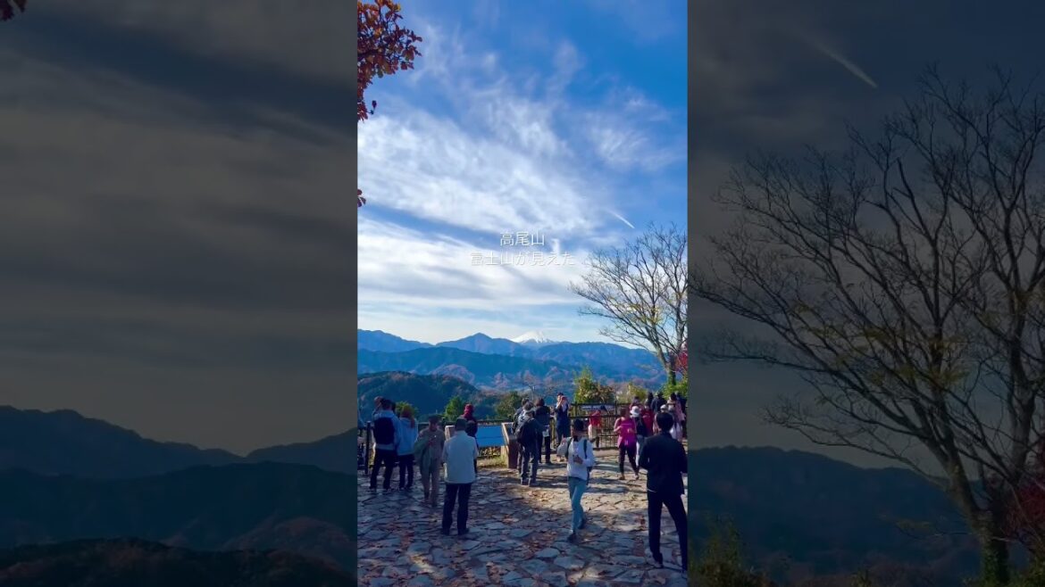 高尾山から富士山が見えた    #shorts