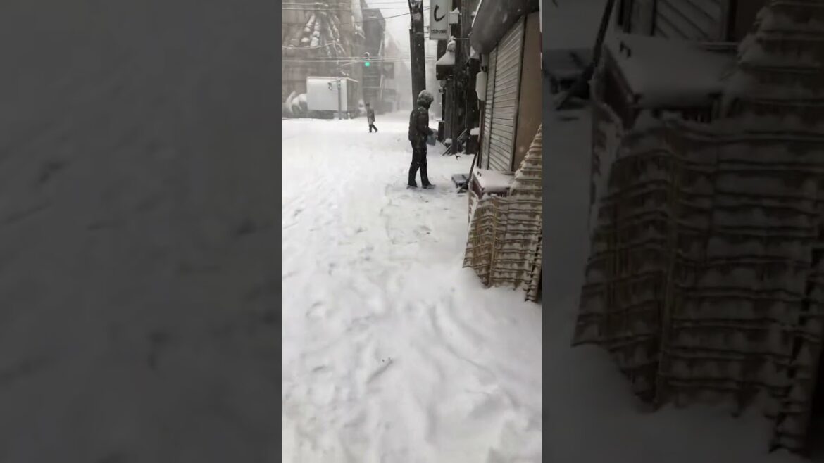 눈오는 삿포로 |현실 극과극 체험 |360도 서라운드 폭설 #japan  #sapporo  #travel #snowfall