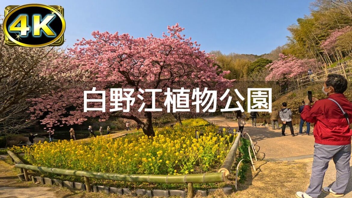 【2023年3月】JR門司港駅から白野江植物公園まで歩いてみた【4K】