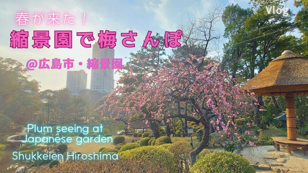 【広島Vlog】広島にも春が!梅さんぽ 広島市・縮景園 2022 【広島Vlog】広島にも春が!梅さんぽ 広島市・縮景園 2022