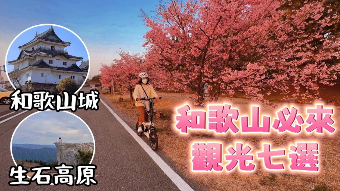 日本旅遊和歌山必去七個景點攻略🌸櫻花開了｜飯店開箱Granvia Hotel｜和歌山城｜雜賀崎燈台｜Ocean契茶店｜生石高原｜和歌山遊艇城｜福岡女孩日本旅行4KVLOG｜日本自由行景點美食#2