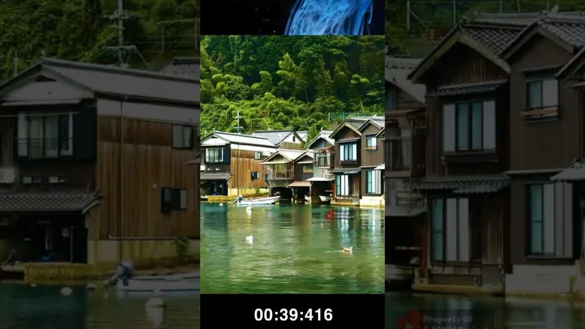 Kyoto - JAPAN #aesthetic #fypshorts #nocopyright #videoshorts #viralshort #fypshort #bebashakcipta