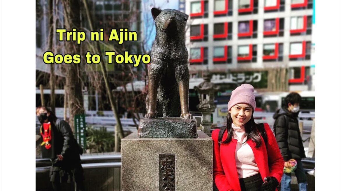 Tokyo tour | Walking Tour | Shibuya Crossing #travel #travelvlog #trending #tripniajin