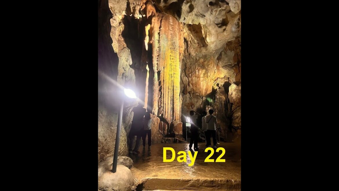 Day 22 Day 22