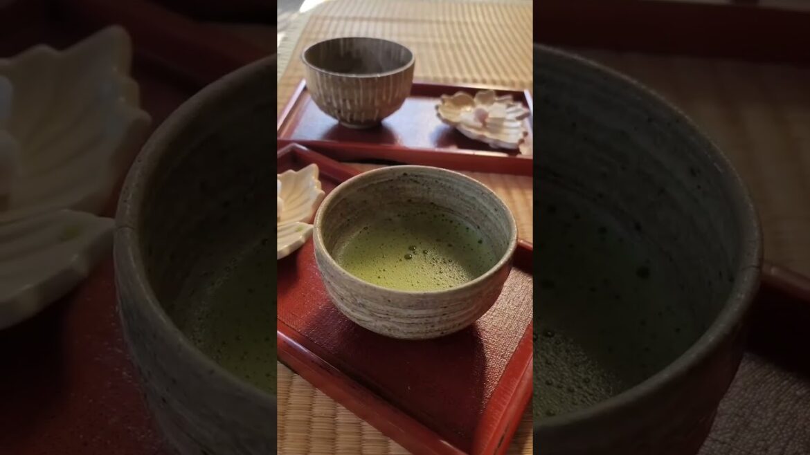 #short #japan #japanese #shorts #travel #vacation #explore #globetrotter #monde #voyage #short #japan #japanese #shorts #travel #vacation #explore #globetrotter #monde #voyage