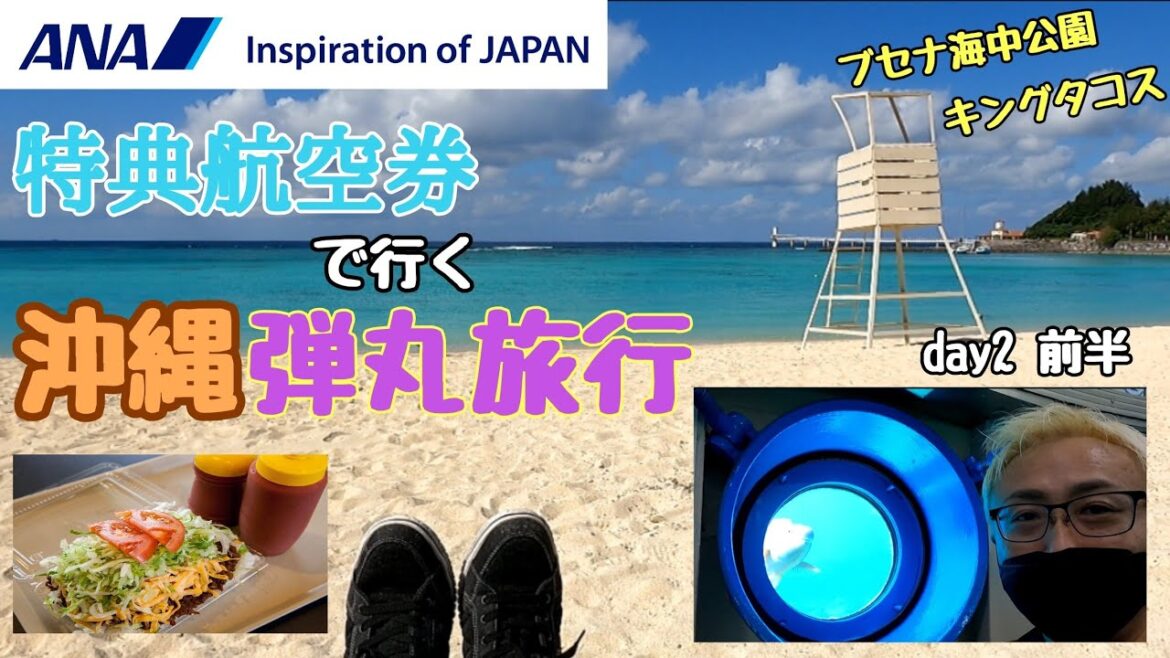 【Vlog 特典航空券 沖縄】③沖縄弾丸旅行 ブセナ海中公園 キングタコスを食する 〜day2 前半〜 【Vlog 特典航空券 沖縄】③沖縄弾丸旅行 ブセナ海中公園 キングタコスを食する 〜day2 前半〜