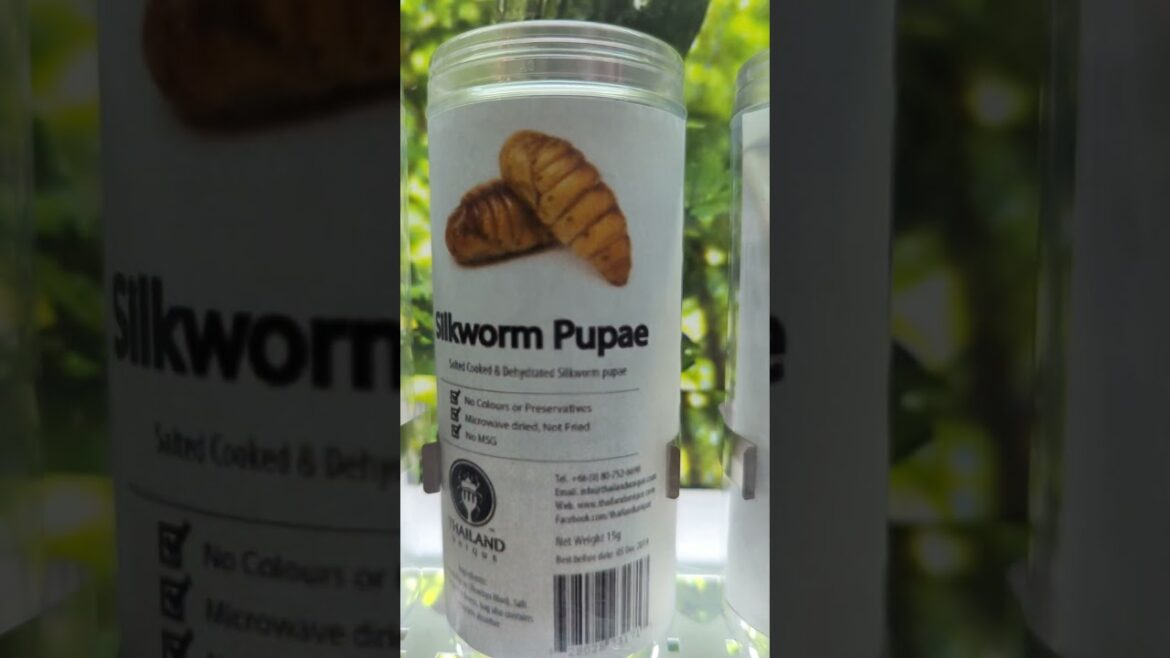 Entomophagy Vending Machine in Shibuya, Tokyo | 東京・渋谷の昆虫食自動販売機 Entomophagy Vending Machine in Shibuya, Tokyo | 東京・渋谷の昆虫食自動販売機