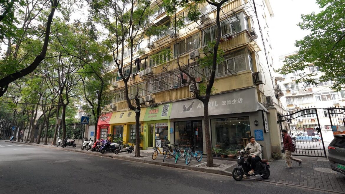 【Shanghai Walking Tour 】Zhaohua Road(E),Changning District【4K ASMR】CHINA 【Shanghai Walking Tour 】Zhaohua Road(E),Changning District【4K ASMR】CHINA