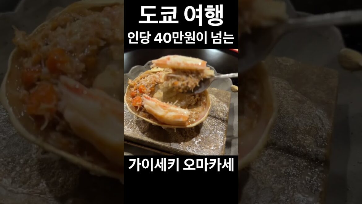 인당 45만원짜리 가이세키 요리 Japan Travel | Food in Japan | Omakase