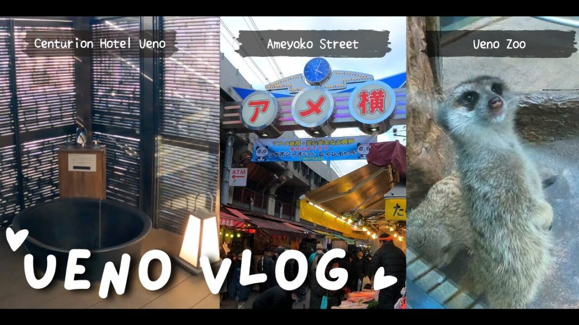 Ueno vlog: Ameyoko street food, Ueno zoo 🐼 & centurion hotel private onsen in balcony✨