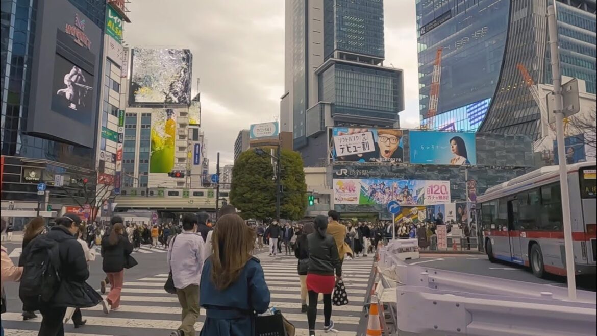 일본 시부야역 산책하기 / Taking a walk at Shibuya Station, Japan 일본 시부야역 산책하기 / Taking a walk at Shibuya Station, Japan