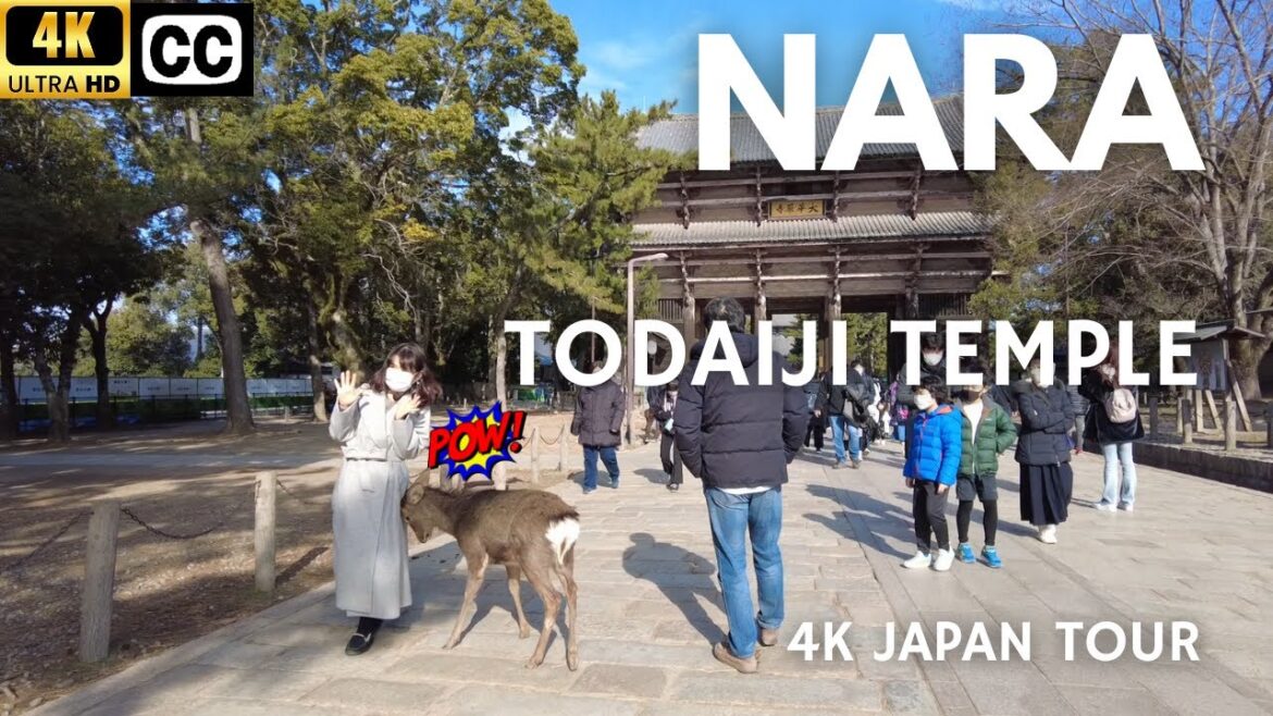 [4K] Japan Walk Tour | Nara | Todai-ji Buddhist Temple
