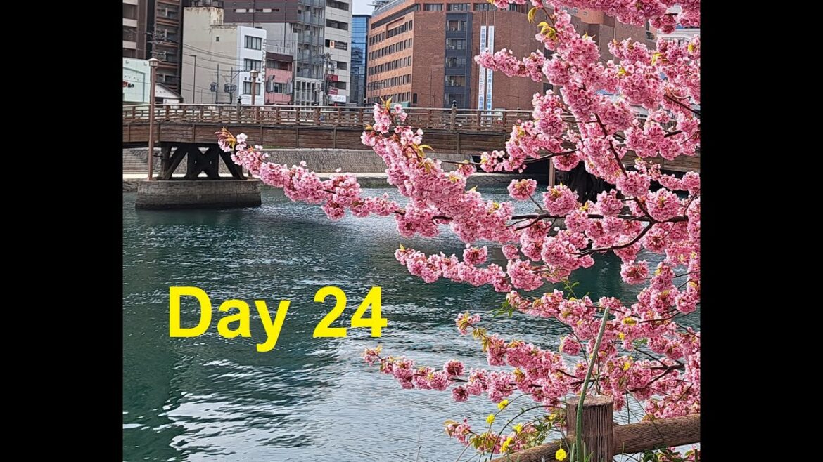 Day 24