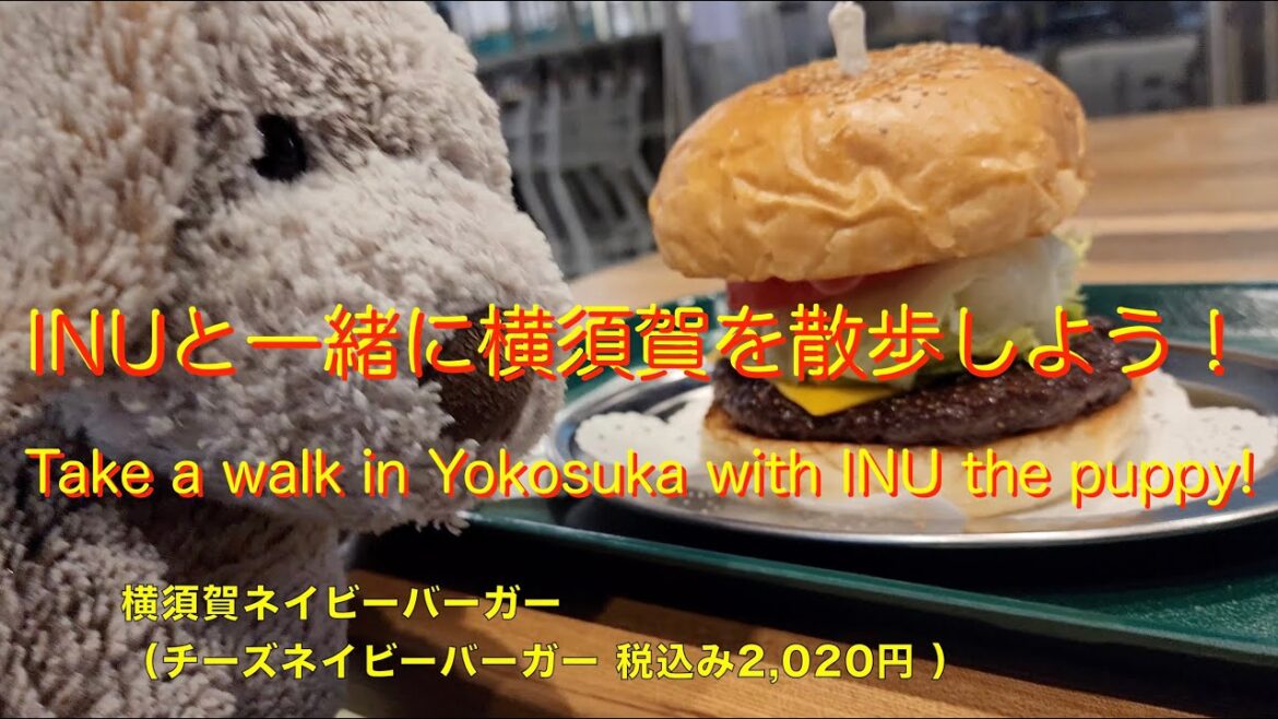 INUと一緒に横須賀を散歩しよう! Take a walk in Yokosuka with INU the puppy! INUと一緒に横須賀を散歩しよう! Take a walk in Yokosuka with INU the puppy!