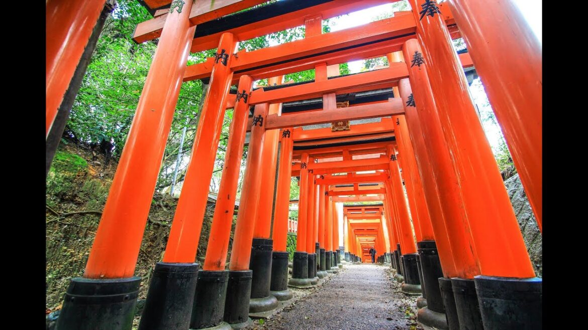 KYOTO TOP ATTRACTIONS | PHOTOGRAPHY TOURS
