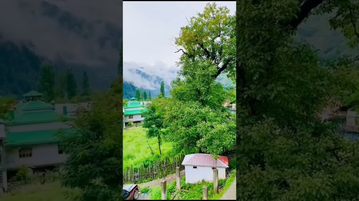 Beautiful view of Azad Kashmir #beautiful #views #kashmir #amazing #enjoy #pakistan #nature #greenry