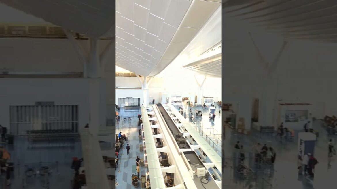 View from Nihonbashi Bridge - The most beautiful Haneda Airport in the world #shorts Part 12