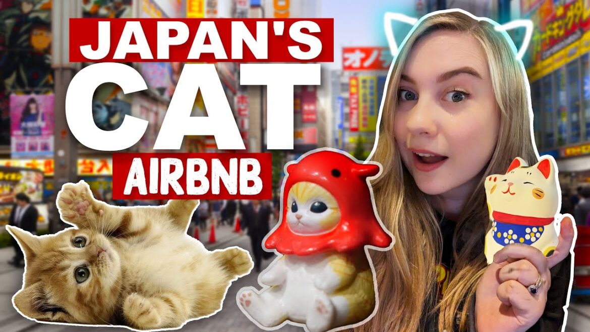 Staying in @sharlainjapan's House | NEKO NEKO INN | Cat Themed Airbnb Tokyo Japan