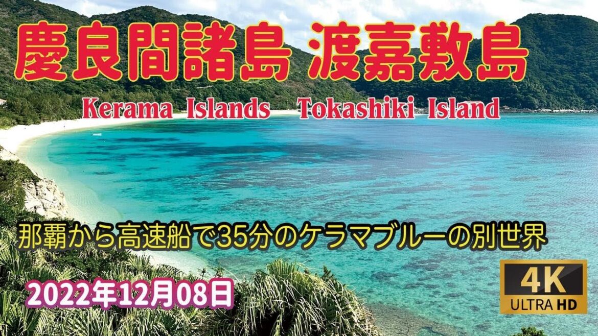 12月の沖縄 渡嘉敷島日帰りコース ケラマブルーを楽しむ 4K 12月の沖縄 渡嘉敷島日帰りコース ケラマブルーを楽しむ 4K