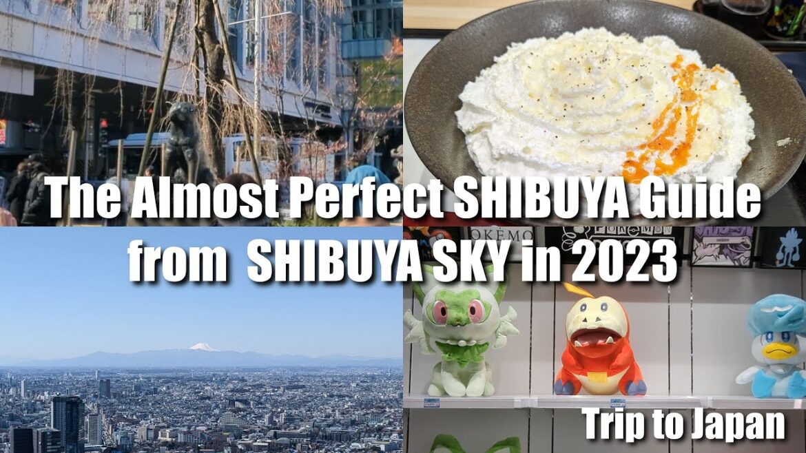 Almost Complete 16-Place Tourist Guide to Shibuya in 2023 from Shibuya SKY (Tokyo, Japan)