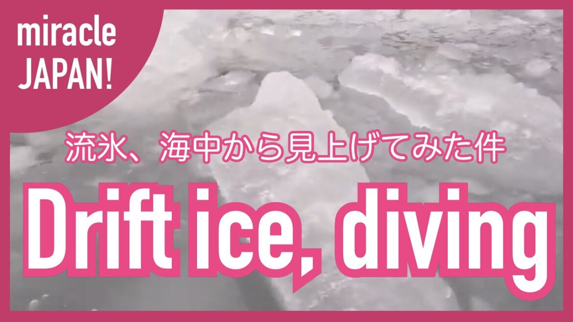 I went under the drift ice. World Heritage Shiretoko Hokkaido/流氷、下から見ると… 世界遺産 知床で遊ぶ I went under the drift ice. World Heritage Shiretoko Hokkaido/流氷、下から見ると… 世界遺産 知床で遊ぶ