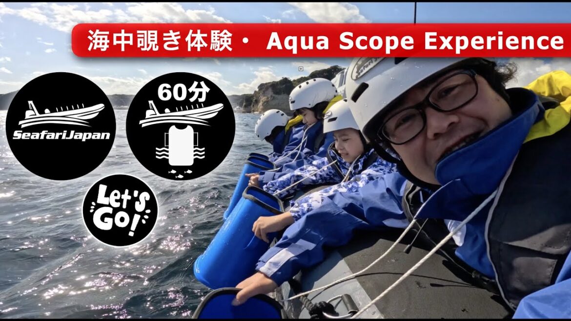 亀さんのカップル 亀さんのカップル