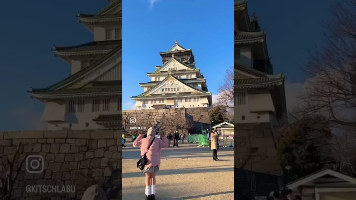 3월 오사카~교토 여행 요약🥷             #일본여행 #오사카여행 #교토여행 #나루토릴스 ?
