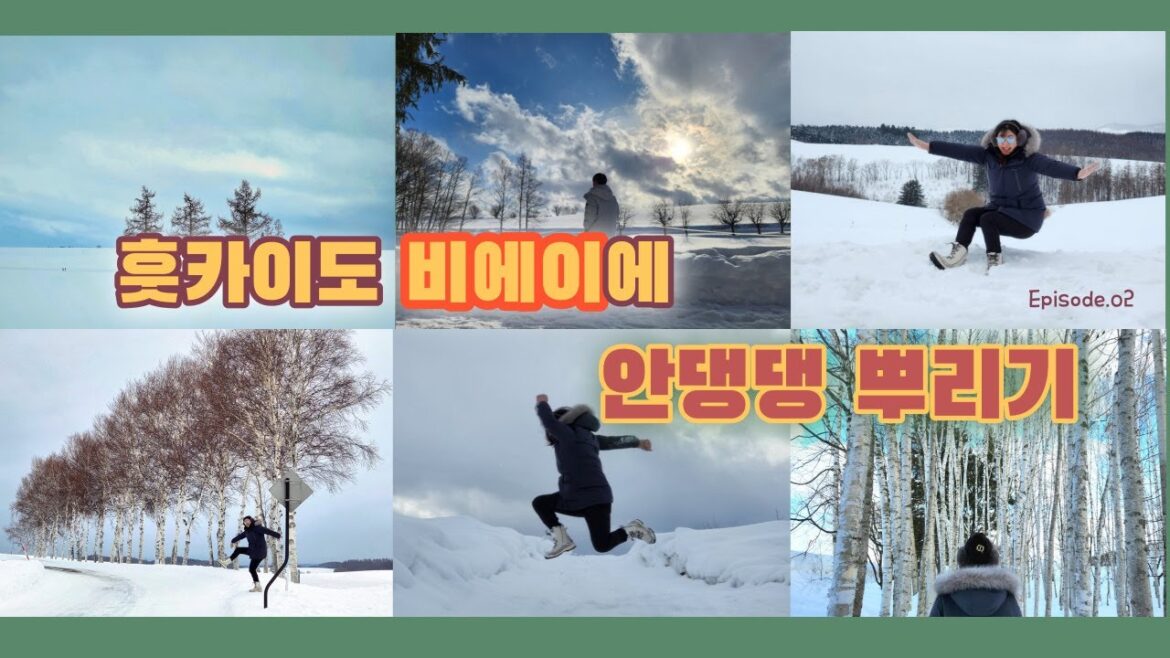 삿포로 여행에서 가장 핫 한 비에이 와 탁신관 - [홋카이도 여행 2편] vlog  (Hokkaido(Sapporo) travel)