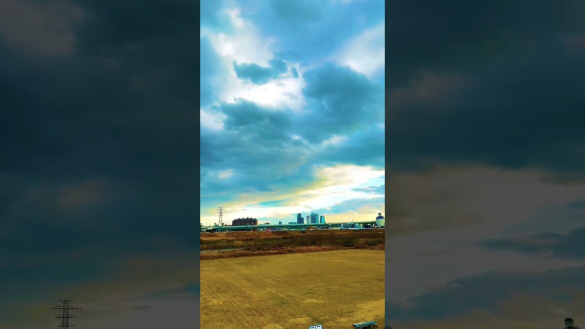 4K walkBeautiful japan #shorts #shortfeed #japan #nagoya#traveling #park #birds #visitjapan