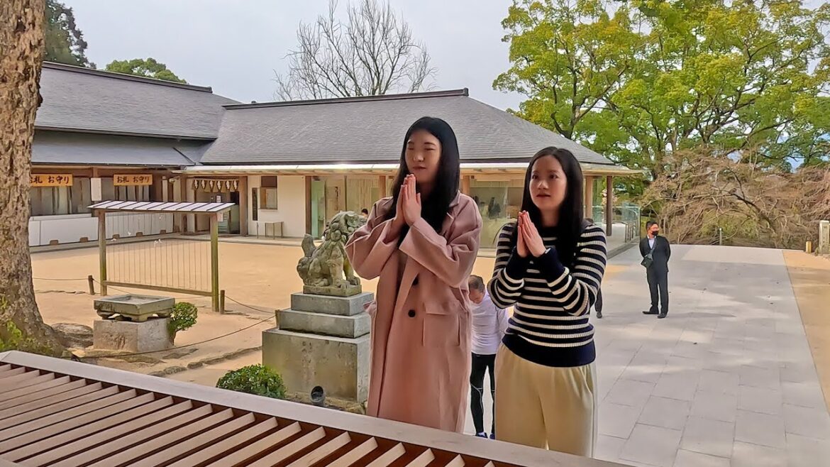 2023/03/06～10　『 日本旅行 from 韓国 』
