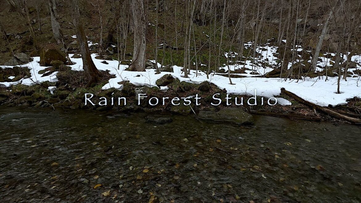 OIRASE, as the snow melts : 奥入瀬渓流〜雪解けの季節 [4K]