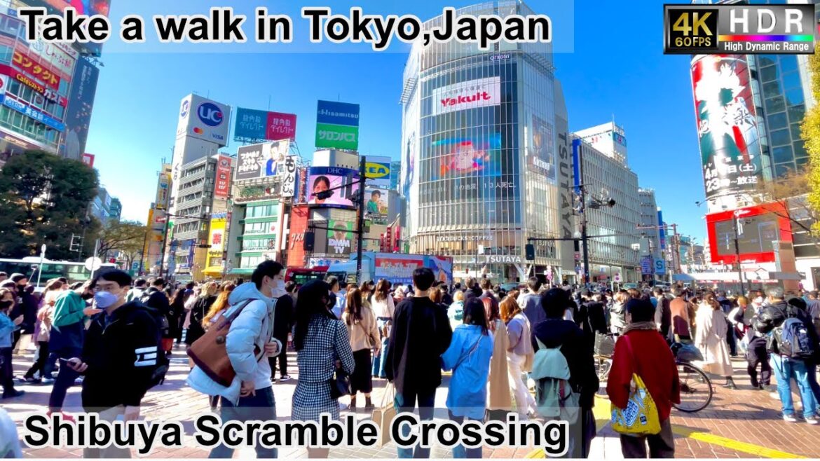 4K 60fps HDR// Take a walk in Tokyo, Japan, Shibuya South Area→Hachiko Exit Area→Scramble Crossing 4K 60fps HDR// Take a walk in Tokyo, Japan, Shibuya South Area→Hachiko Exit Area→Scramble Crossing