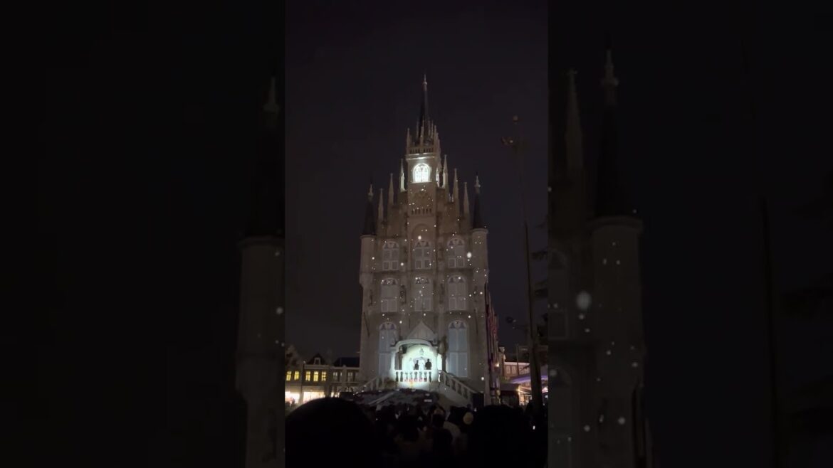 Huis ten bosch illumination #travel #nagasaki #huistenbosch #youraisemeup