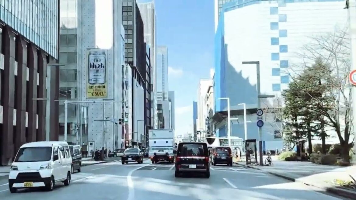 Car tour and information about Tokyo Car tour and information about Tokyo