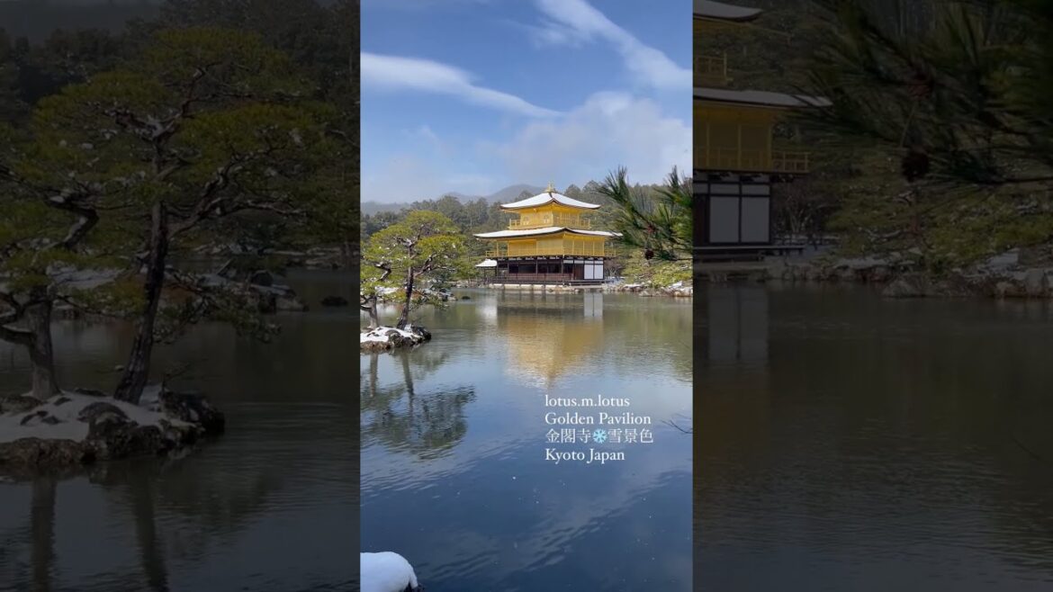Japan Travel   ｜The beautiful snow scene of kinkakuji Temple in Kyoto