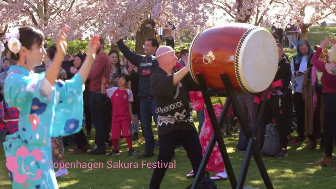Sakura Festival 2022 – See You Next Year :) Sakura Festival 2022 - See You Next Year :)