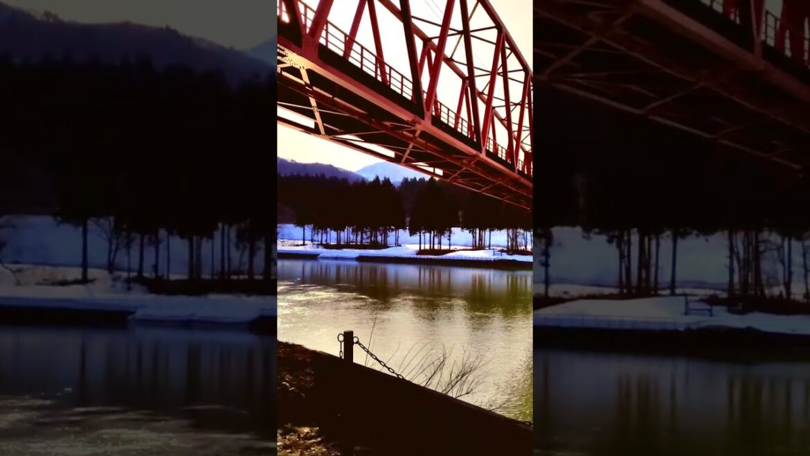 Under the Bridge #shortsvideo #japan #shorts