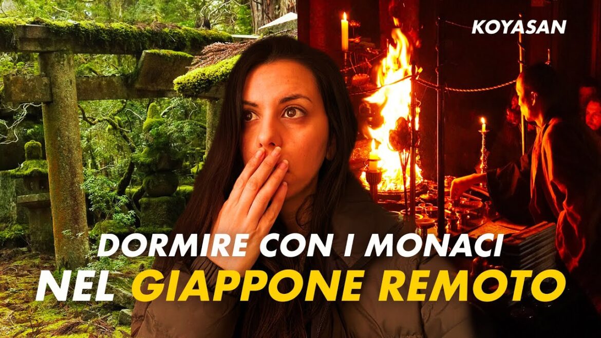 KOYASAN – il lato più mistico e spirituale del Giappone KOYASAN - il lato più mistico e spirituale del Giappone