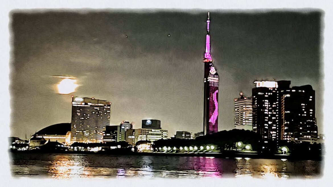 Night Walk in Japan（Fukuoka,Momochi Seaside Park）4K ASMR