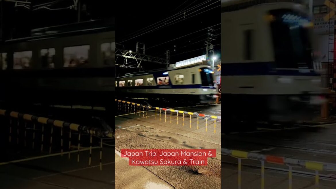 Japan Trip: Japan Mansion & Kawatsu Sakura & Train