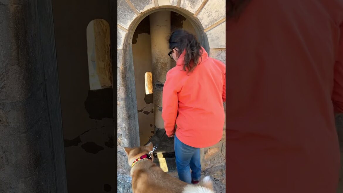 Akita trip Batería de castillitos